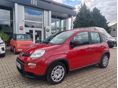 FIAT PANDA 2024 - 2