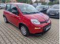 FIAT PANDA 2024 - 1