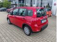 FIAT PANDA 2024 - 4