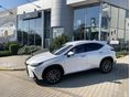 LEXUS NX 2026/2 - 2
