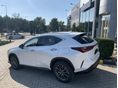 LEXUS NX 2026/2 - 3