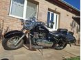SUZUKI VL 800 (INTRUDER) 2004/7 - 7