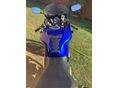 SUZUKI SV 650 S 2004 - 5