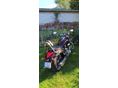 SUZUKI VZR 1800M 2009/5 - 3