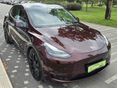 TESLA MODEL Y 2023/6 - 3