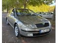 SKODA OCTAVIA 2009/4 - 8