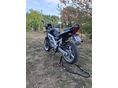 SUZUKI SV 650 N 2003/3 - 1