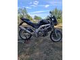 SUZUKI SV 650 N 2003/3 - 5