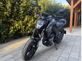 CFMOTO 300 NK 2026/1 - 4