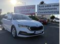 SKODA OCTAVIA 2021/10 - 2