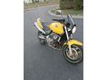 HONDA CB 600 F (HORNET) 2002 - 5