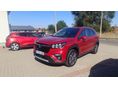 SUZUKI S-CROSS 2022/5 - 3