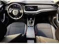 SKODA OCTAVIA 2023/6 - 6
