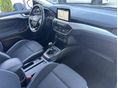 FORD FOCUS 2019 - 6