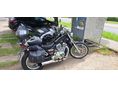 SUZUKI VS 600 (INTRUDER) 1996 - 5