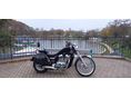 SUZUKI VS 600 (INTRUDER) 1996 - 8