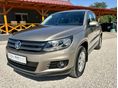 VOLKSWAGEN TIGUAN 2013/5 - 1