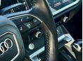AUDI Q3 2020/7 - 18