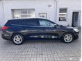 FORD FOCUS 2019 - 5