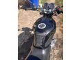 SUZUKI GS 500 E 2006/7 - 10