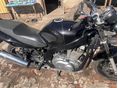 SUZUKI GS 500 E 2006/7 - 12