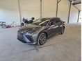 LEXUS RZ 2024/6 - 2