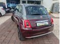 FIAT 500 2019/3 - 5