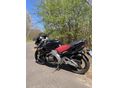 YAMAHA SZR 660 1998/2 - 3