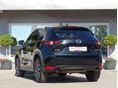 www.vanauto.hu