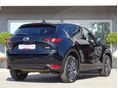 www.vanauto.hu
