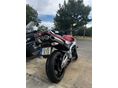 SUZUKI GSR 600 2008 - 6
