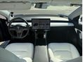 TESLA MODEL 3 2019/4 - 2