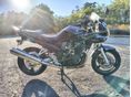 SUZUKI GSF 650 S 2005/9 - 5