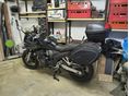 SUZUKI GSF 650 S 2005/9 - 9