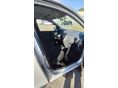 DACIA LODGY 2018/4 - 11