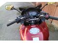 HONDA CBF 600 2009/8 - 4