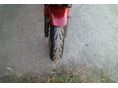 HONDA CBF 600 2009/8 - 8