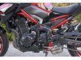 KAWASAKI Z 900 2024 - 8
