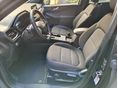 FORD KUGA 2022/1 - 17