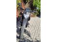 KEEWAY TX 125 2021/7 - 8