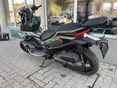 ZONTES 368G 2026/4 - 8