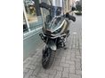 ZONTES 368G 2026/4 - 5