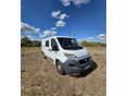 FIAT 2016/6 - 1
