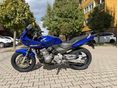 HONDA CB 600 F (HORNET) 2004/5 - 2