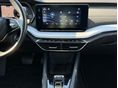 SKODA OCTAVIA 2024/2 - 9