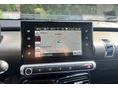 CITROEN C4 CACTUS 2014/10 - 10