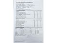 RENAULT MEGANE 2010/10 - 14