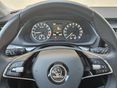 SKODA OCTAVIA 2023/8 - 16