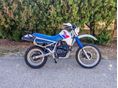 HONDA XL 600 RM 1986/7 - 2