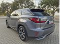 LEXUS RX 2020/2 - 2